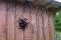 Игрушка паук на хэллоуин из подручных материалов